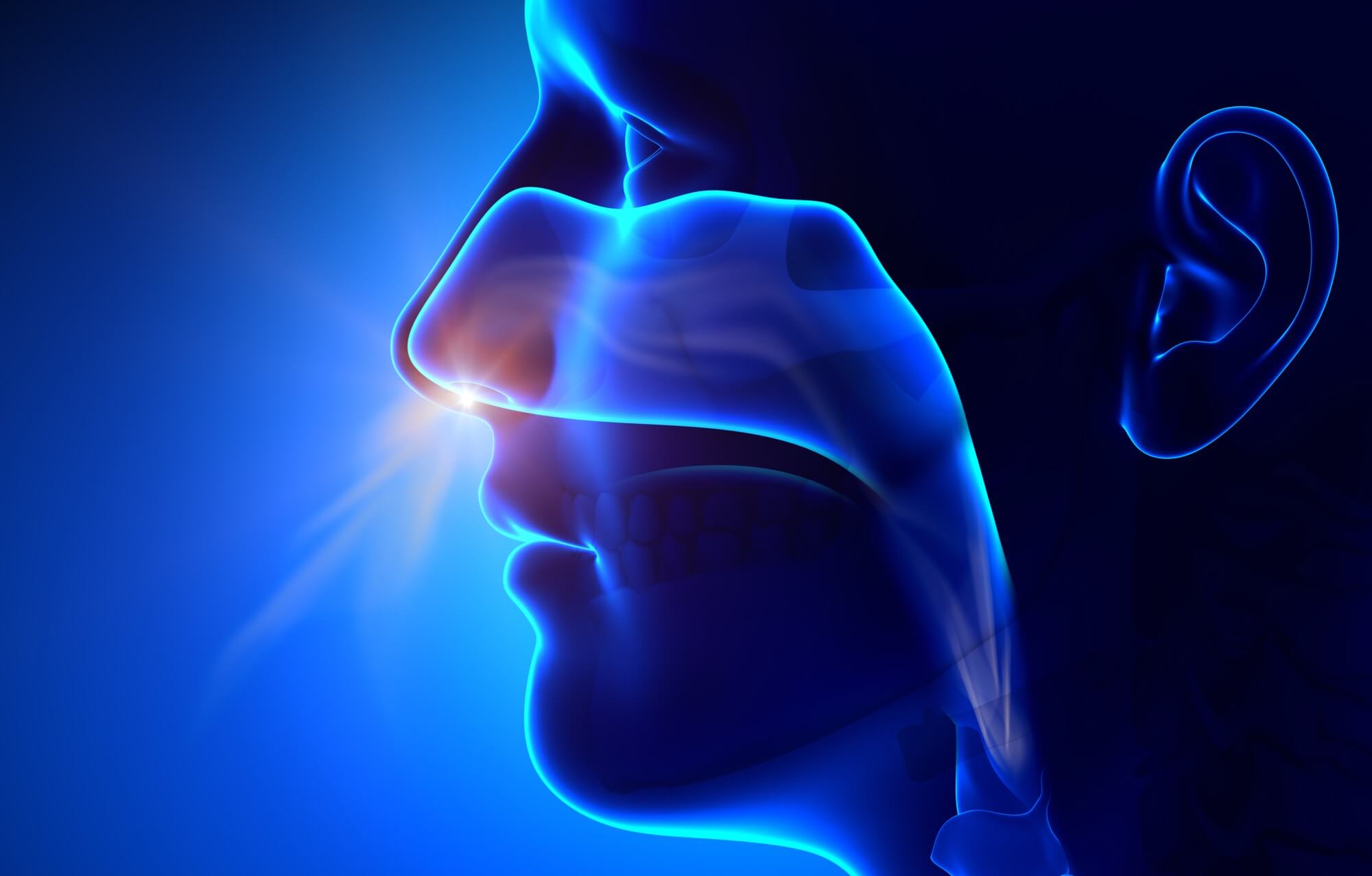 La rinoplastia funcional me ayuda a respirar mejor por la nariz? - Pérez No  Es Ratón