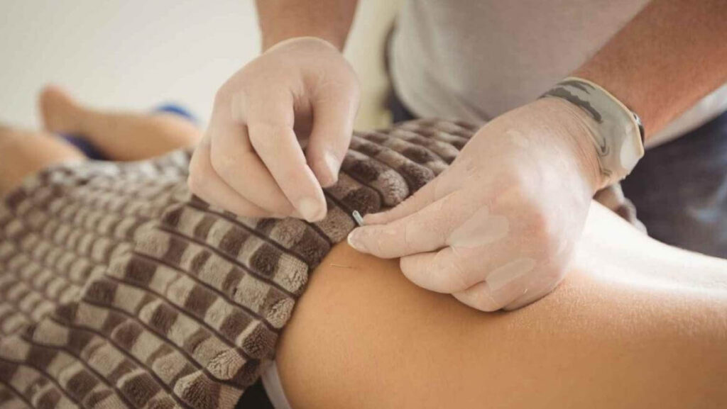 Fisioterapia para el manejo del dolor musculoesquelético