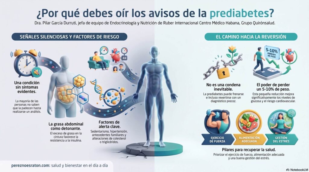 La diabetes tipo 2 no suele aparecer de un día para otro. En la mayoría de los casos existe una fase previa, conocida como prediabetes, que puede prolongarse durante años sin provocar síntomas y que, sin embargo, aumenta el riesgo de enfermedad cardiovascular, daño vascular y alteraciones metabólicas.